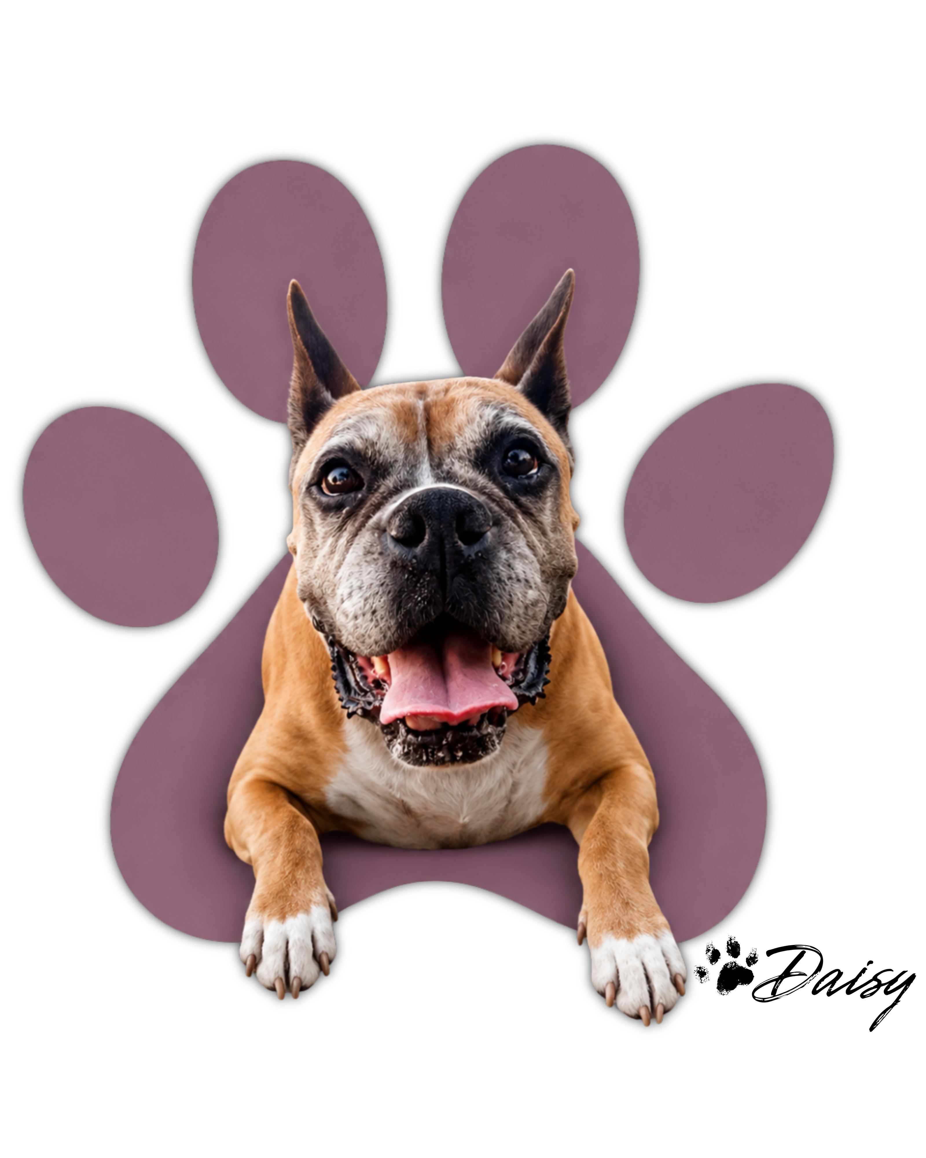 Daisy, the boxer who inspired Daisy's Dog House